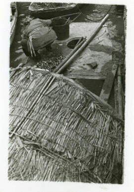[Detail of boat roof]