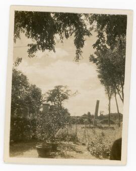 image 02
