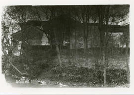 [Historic architecture and trees]