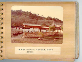 Bonsai garden in Tinglin Park
